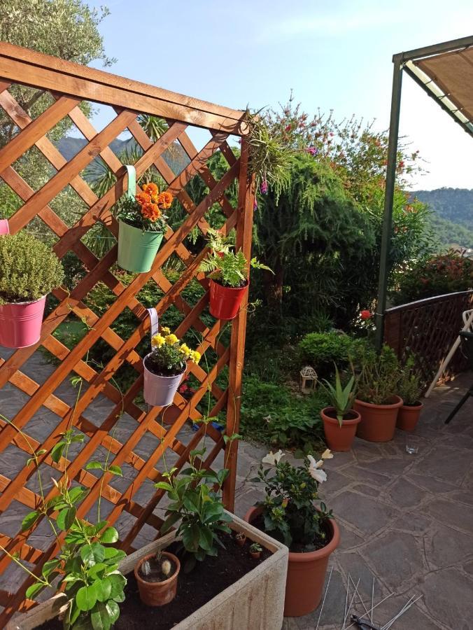 Il Glicine Cozy Appartamnent, Near Sestri Levante Between Cinque Terre E Portofino Casarza Ligure Exterior photo